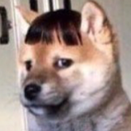 tinytank.'s Avatar