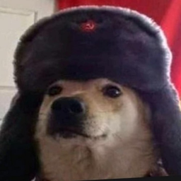 Blokibetyar's Avatar