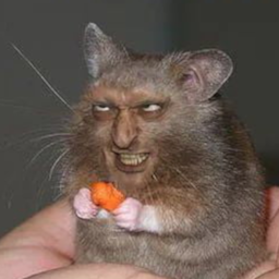 TNO.Kimple's Avatar