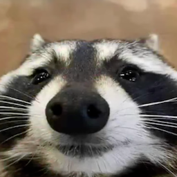 at3r4s1's Avatar