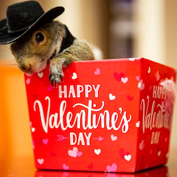 SlimySquirrle47's Avatar