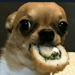 AboIolo's Avatar