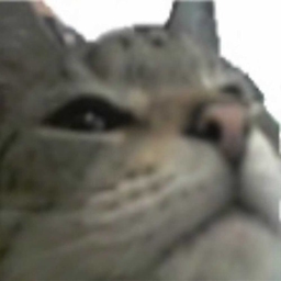absoIve's Avatar