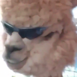 RiptikR6's Avatar