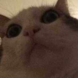 tugr.'s Avatar