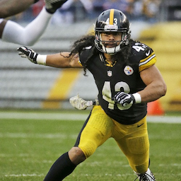 Polamalu's Avatar