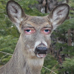 ToLagado's Avatar