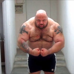 absolute.sigma's Avatar