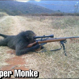 SniperMexicano's Avatar