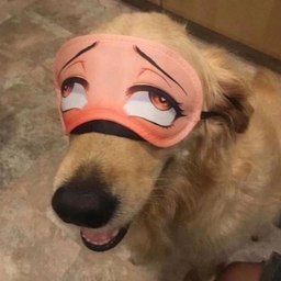 JutiTuutti's Avatar