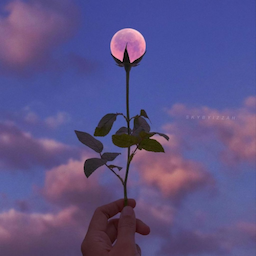 MinAe_o's Avatar