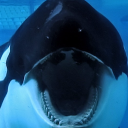 liquidice.'s Avatar