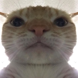 RobinhooJrr's Avatar