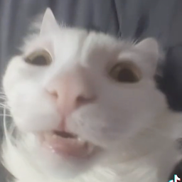 Dazer.'s Avatar