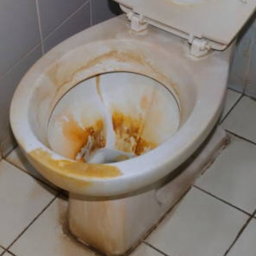 StainedToilet.'s Avatar