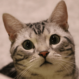 JINdao_'s Avatar