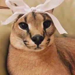 Mata-_-.'s Avatar