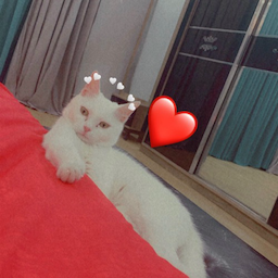 ShaGaGy_Ali's Avatar