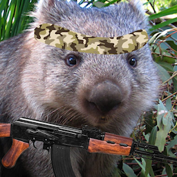 KillerKoala.R6S's Avatar