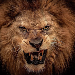 Randy.Magnum's Avatar