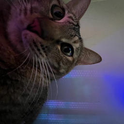 DGG0703's Avatar