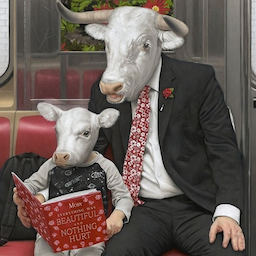 Mistercow's Avatar