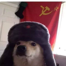 Coonny's Avatar