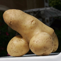 Pee-Pee.Potato's Avatar