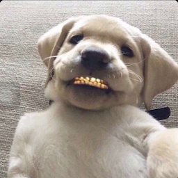 sicc5o_.'s Avatar