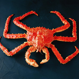 King_crab2's Avatar