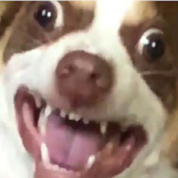 Szundi.BEE's Avatar