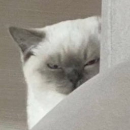 BakedBaka.'s Avatar