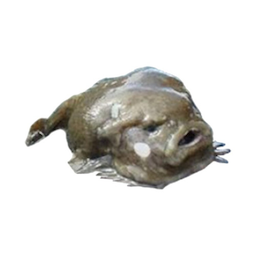 KalleR6's Avatar