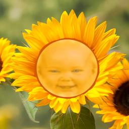 M4dm4cl4ren's Avatar
