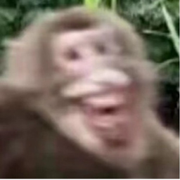 XDGZC's Avatar