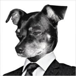 sofacomerdamds's Avatar