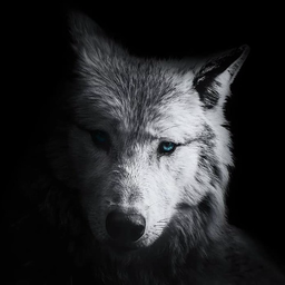Kladdig.'s Avatar