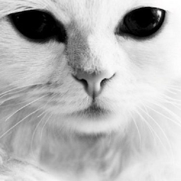 kiciaqwerty's Avatar