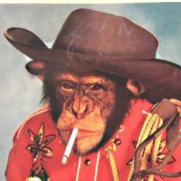 Mon_Couer's Avatar