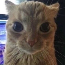 Jyako.'s Avatar