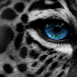 CalmR6.'s Avatar