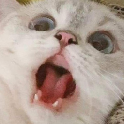 J4mJ4m_'s Avatar