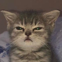 INeedANap.'s Avatar