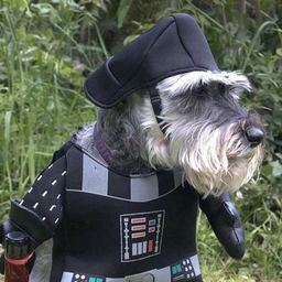 Arf-Vader's Avatar