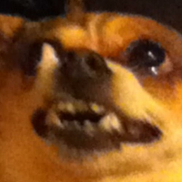 klapek.'s Avatar