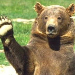 GrizzlyGrimmm's Avatar