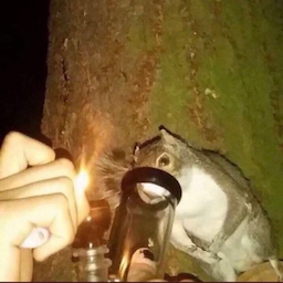 CANTAIMsqxntzz's Avatar