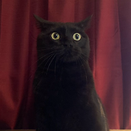 Attacker's Avatar