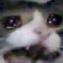 pIavI's Avatar