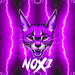 N0XI._'s Avatar